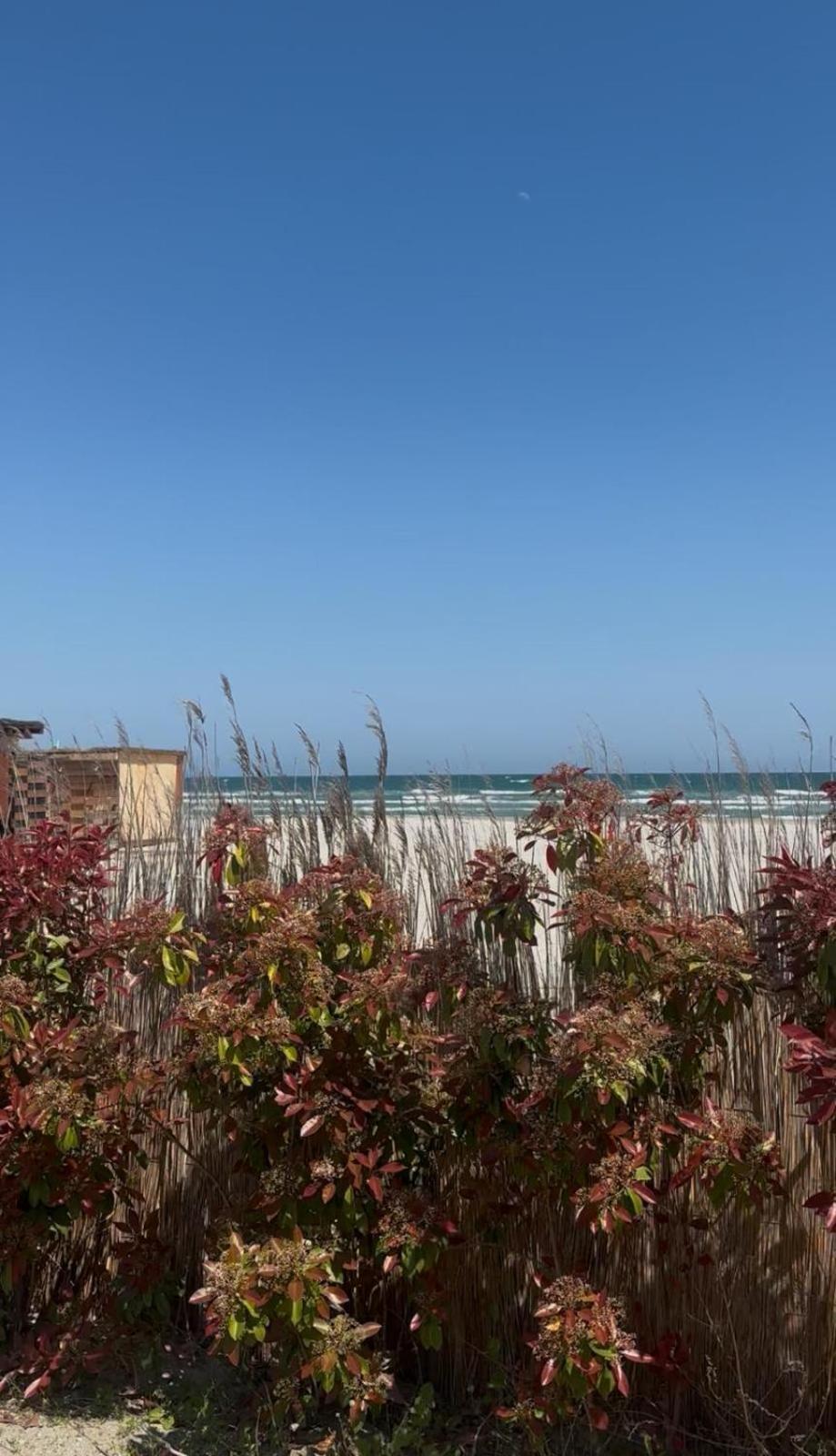 Sea View Luxury Apartament Năvodari Buitenkant foto